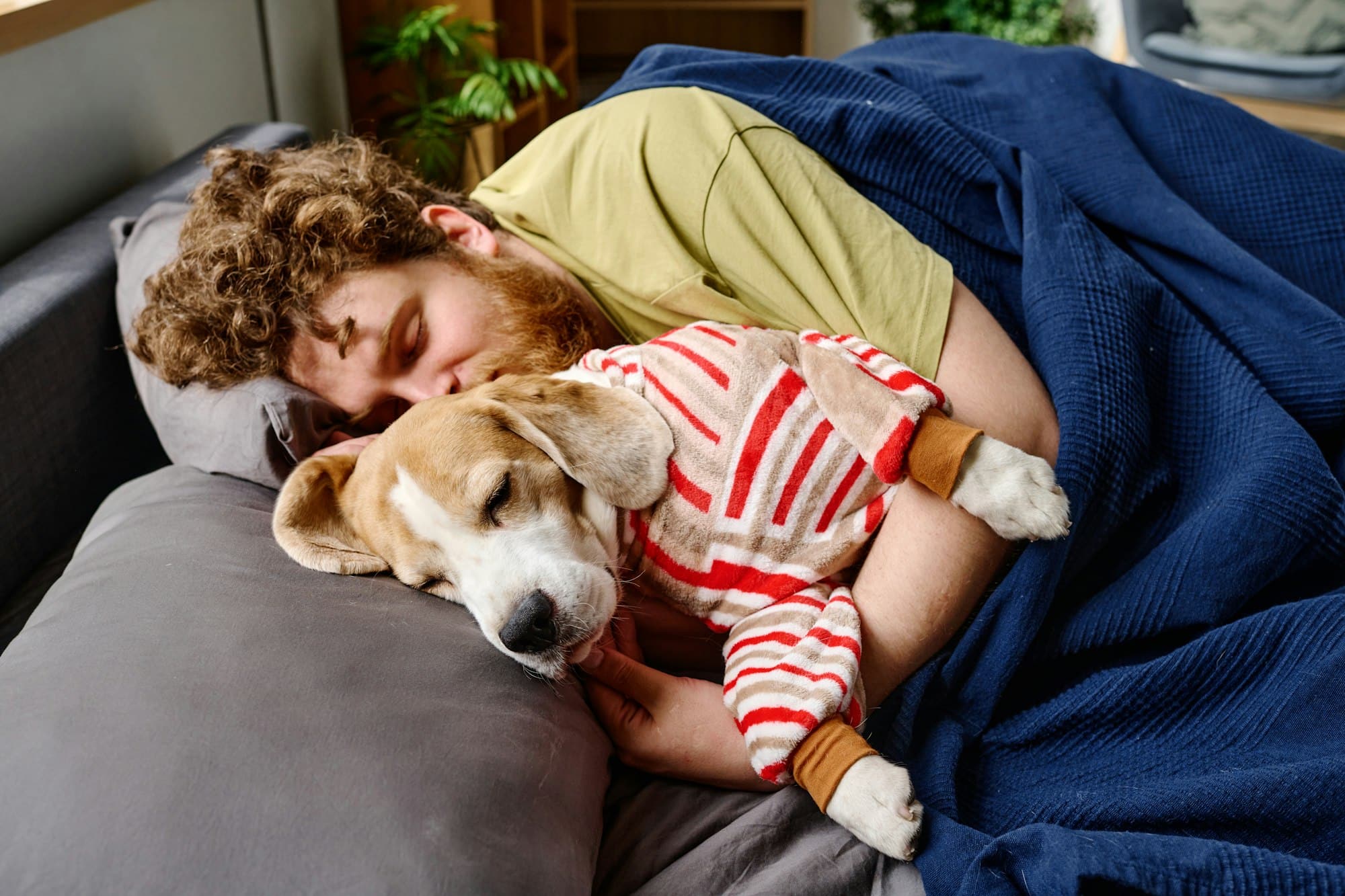 Κατοικίδια: είναι καλό να κοιμάστε με τον σκύλο σας;