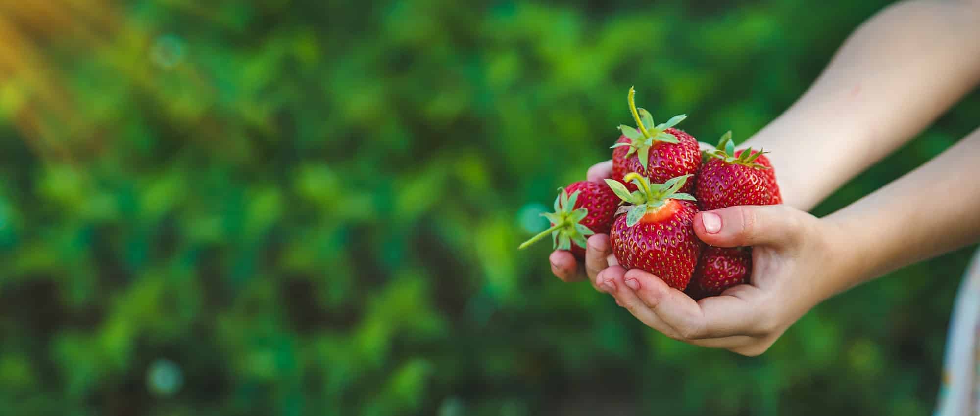 Φράουλες: 5 λόγοι για να τις τρώμε